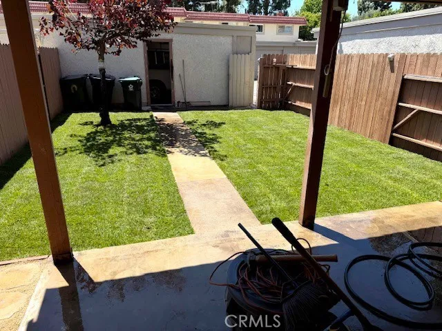 Back yard