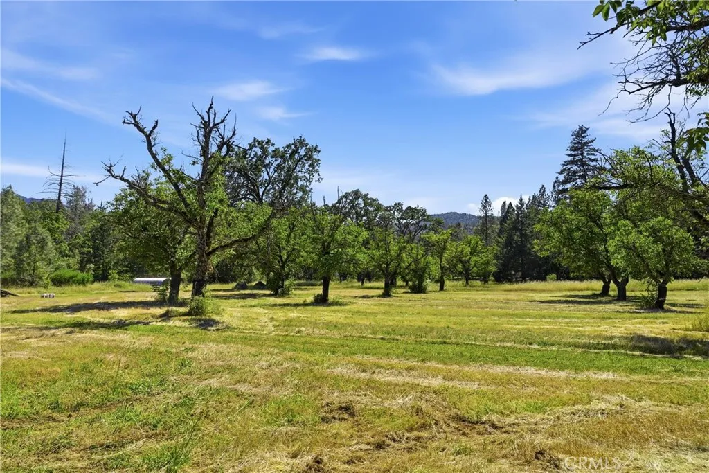flat useable land 
