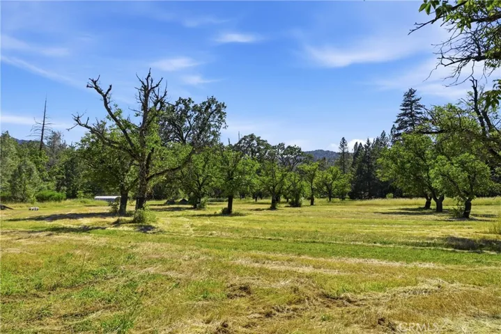 flat useable land 
