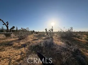 0 Mountain Rd, Pinon Hills, California 92372