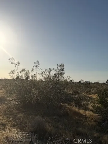 0 Mountain Rd, Pinon Hills, California 92372