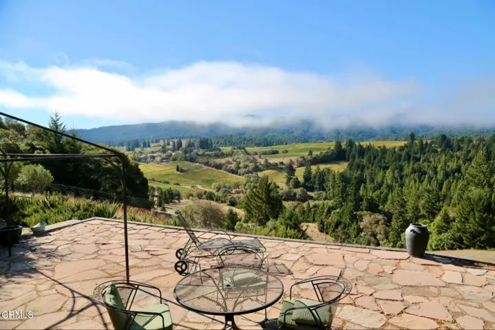 Vineyard View