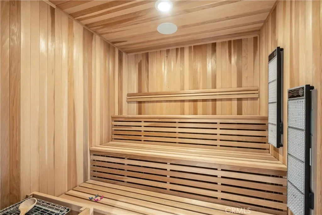 Primary Sauna with Red/Blue Light Therapy