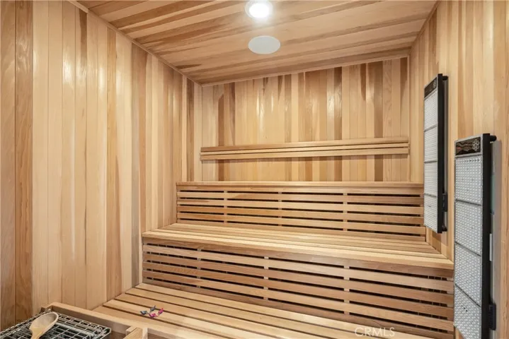 Primary Sauna with Red/Blue Light Therapy