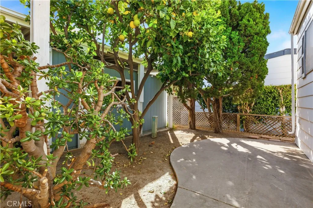 Outdoor Space