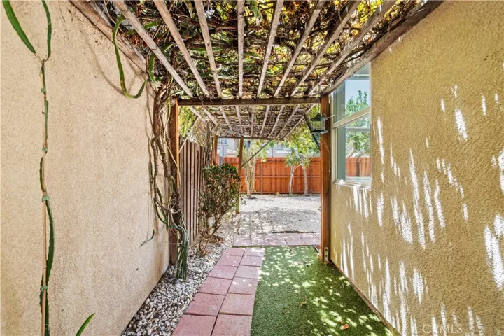 grapevine side yard