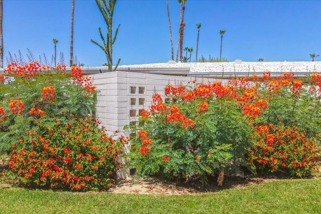 Beautiful Landscaping