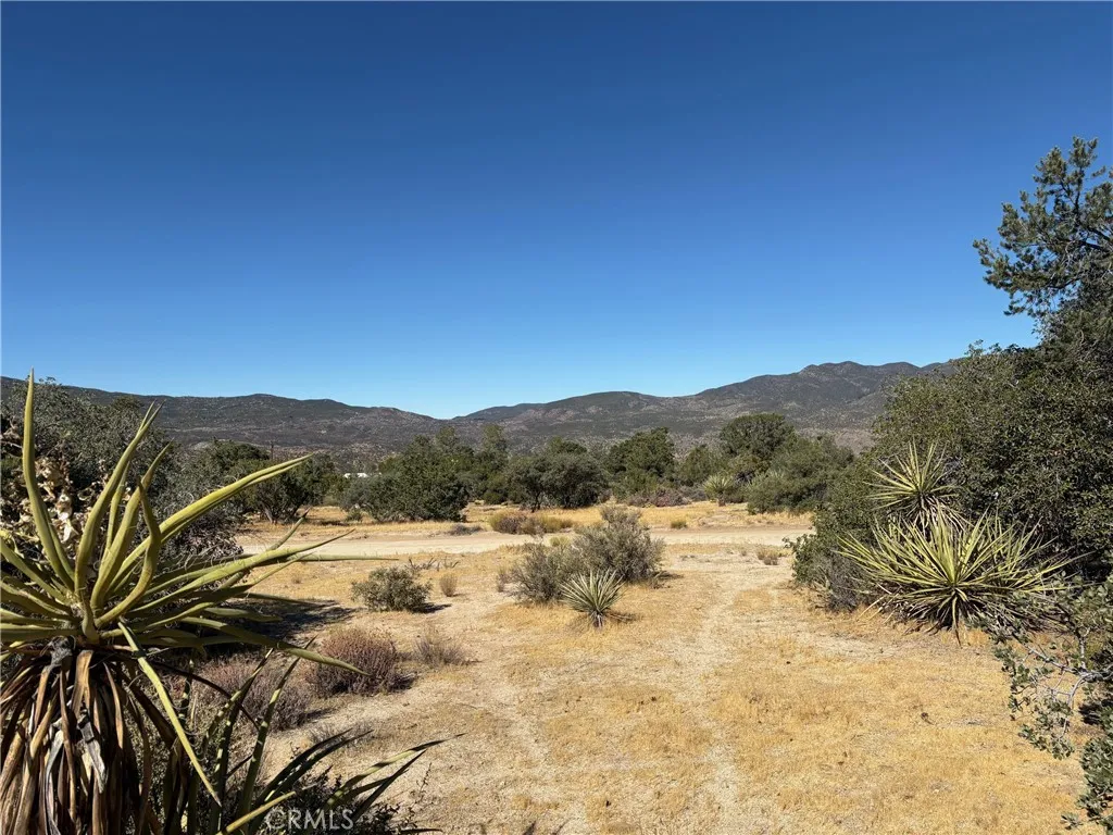 0 Chillon Hts, Mountain Center, California 92561 — photo 4