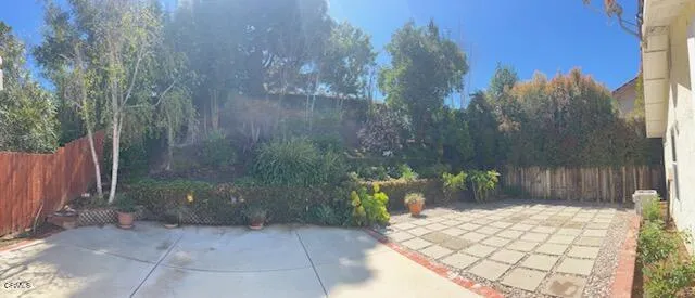 65) Backyard 7