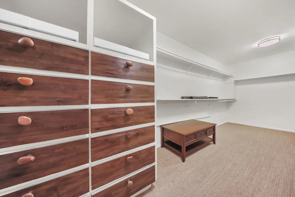 Huge Walk-in Closet