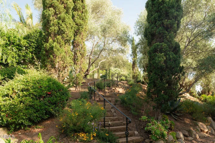 Paths
