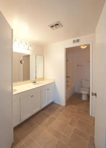 Primary Bath/Spa