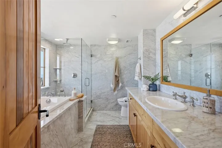 lower level bathroom