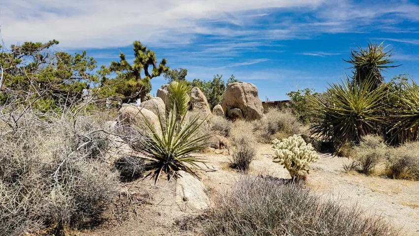 Boulders