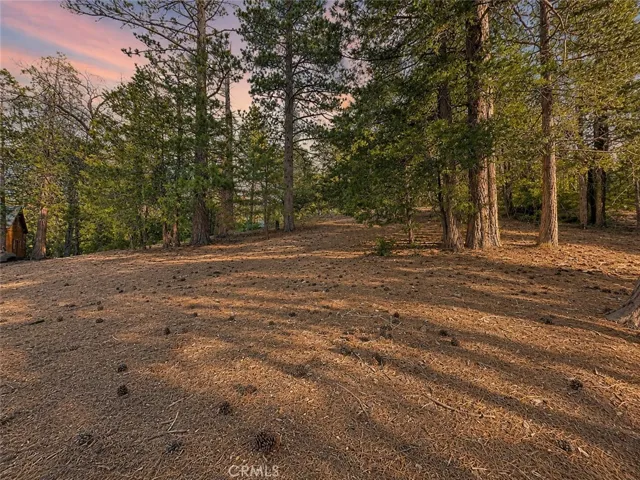 25400 Marion Ridge Dr, Idyllwild, California 92549