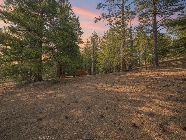25400 Marion Ridge Dr, Idyllwild, California 92549