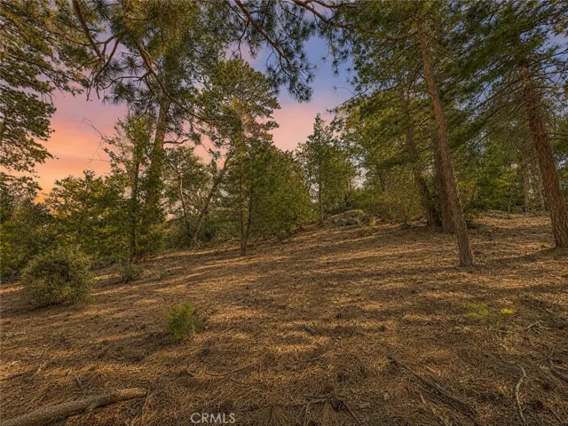 25400 Marion Ridge Dr, Idyllwild, California 92549
