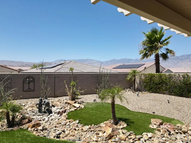 back yard
