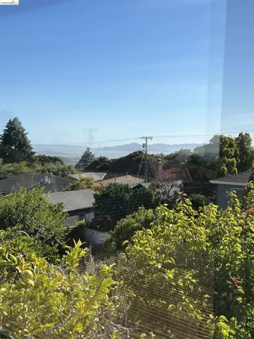 Distant cityscape and water views visible over surrounding rooftops and abundant foliage