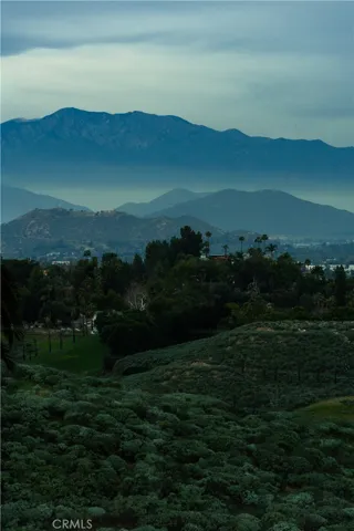 View from the back patio in the morning hours