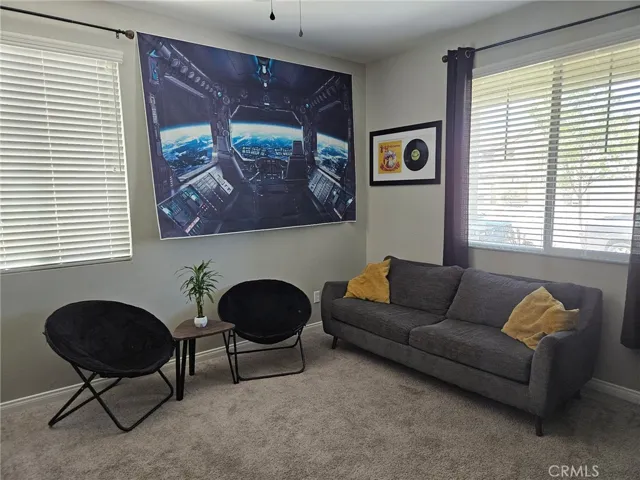 Flex Room