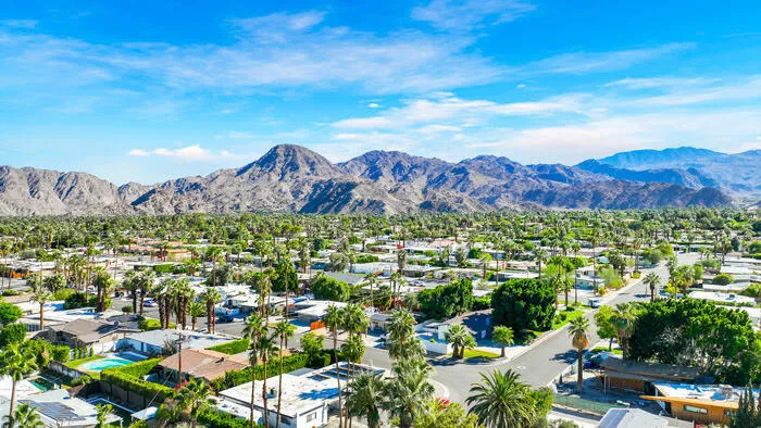 Aroel palms and mountain
