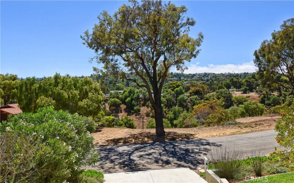 Canyon View