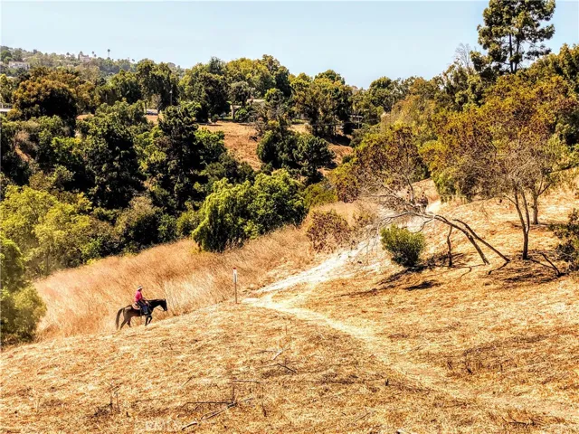 Views in front of the property