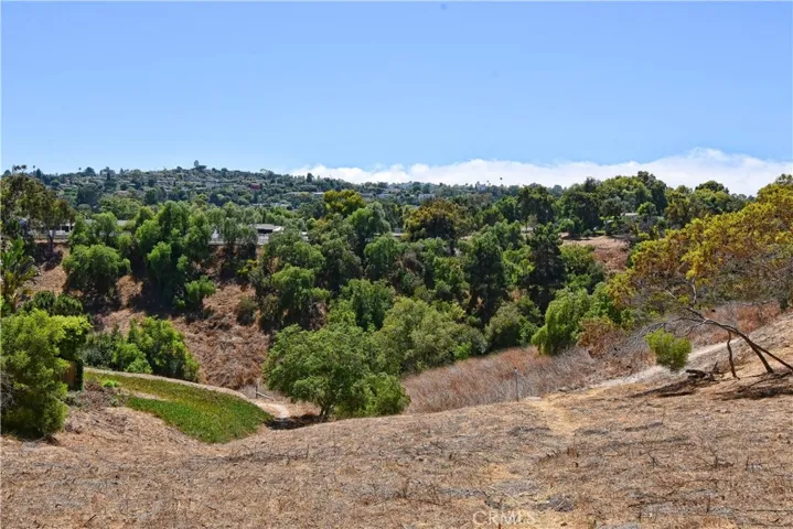 Canyon view