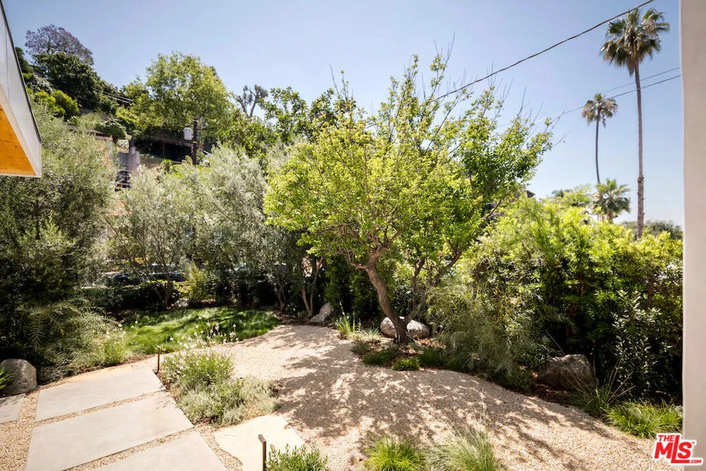Front Yard