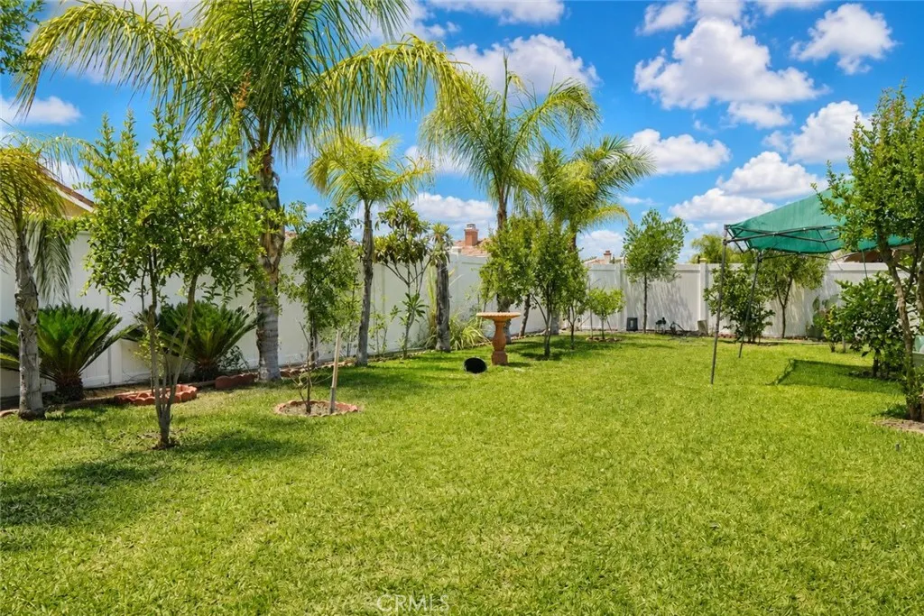 Backyard with fruit trees