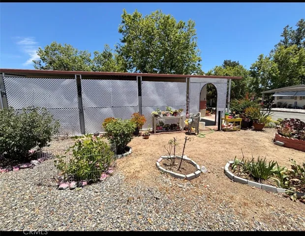 Side yard