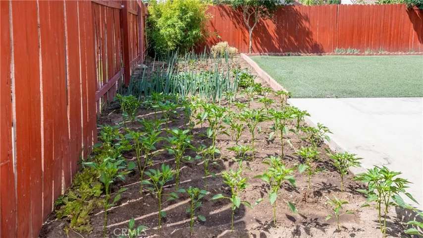 Organic Garden