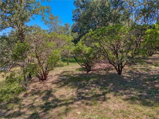 1450 Oak Hill Court, Lakeport, California 95453