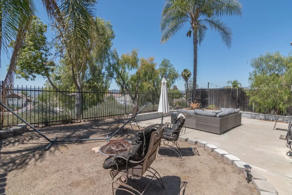 Back yard