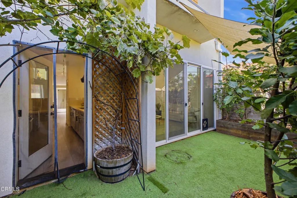 Back Patio
