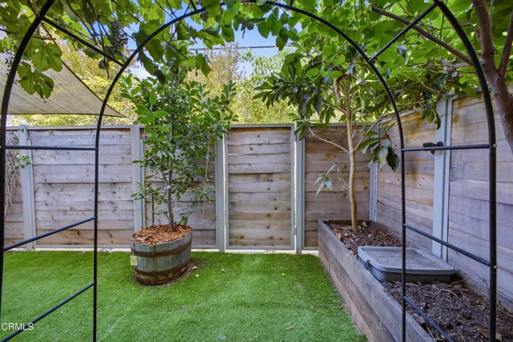 Back Garden