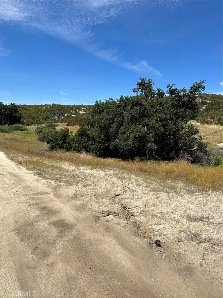View of parcel.