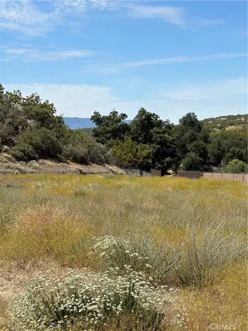 View of parcel.