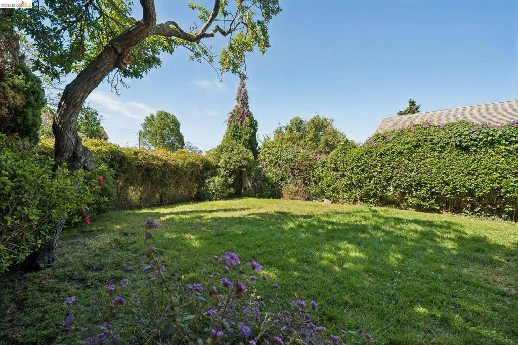 Expansive green lawn surrounded by mature trees and lush hedges