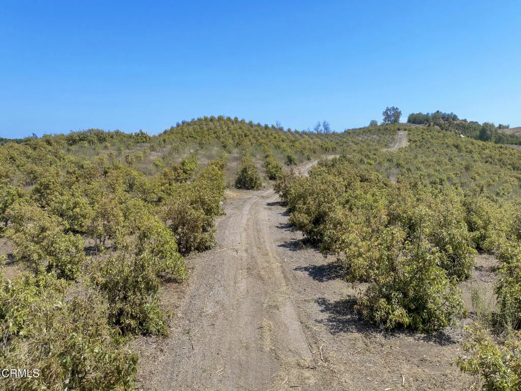 7905 Balcom Canyon Rd, Somis -HsHProd-15