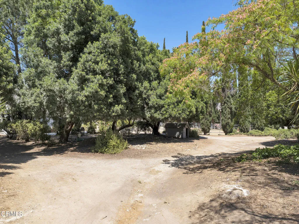 7905 Balcom Canyon Rd, Somis -HsHProd-80