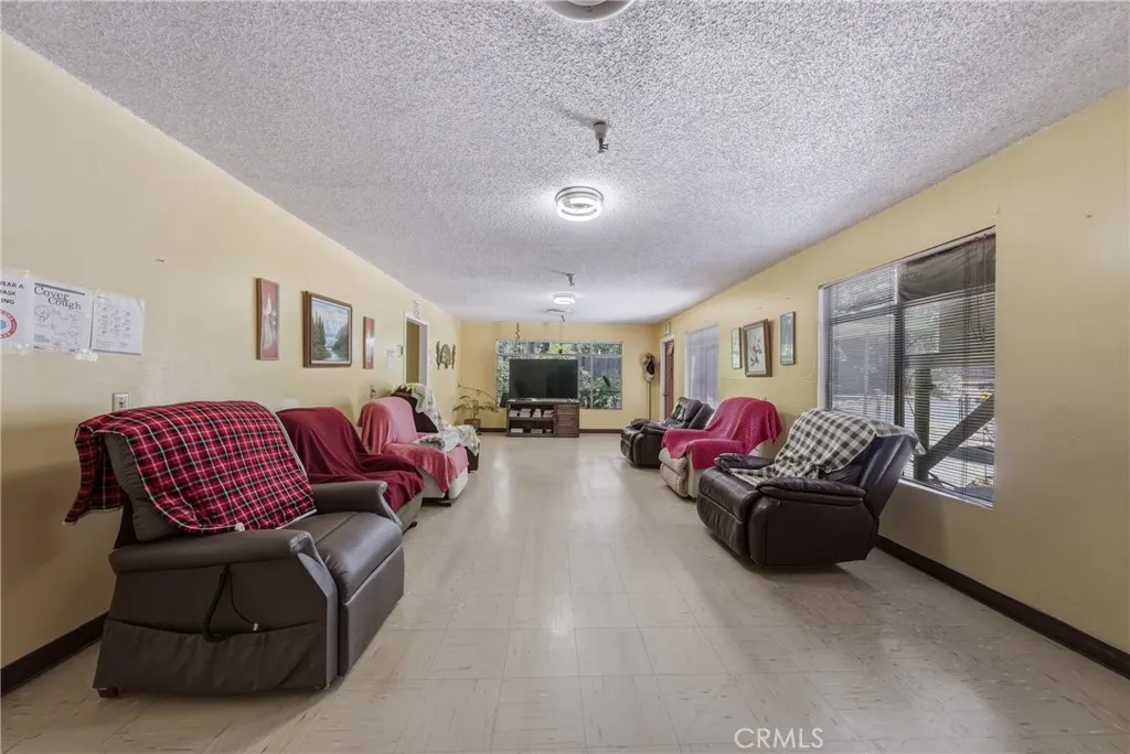 Living Room/Lounge