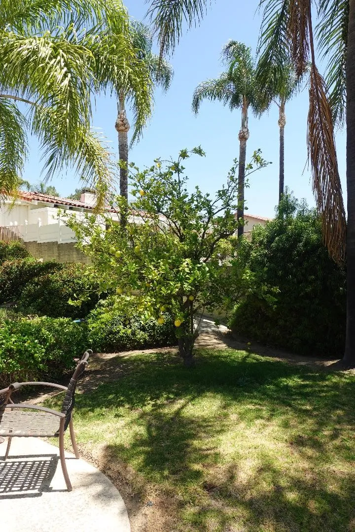 2534 Vista, Upland, California 91784 — photo 5