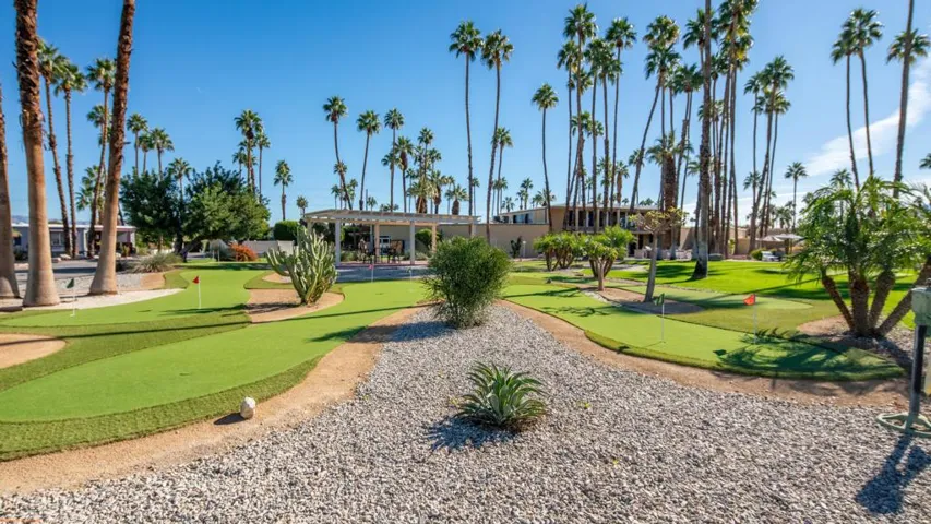 36-We're Focused Royal Palms (3)