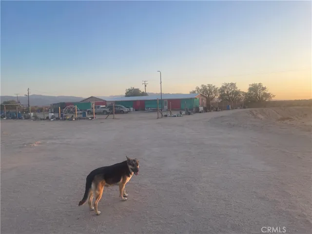 49645 Silver Valley Road, Newberry Springs, California 92365