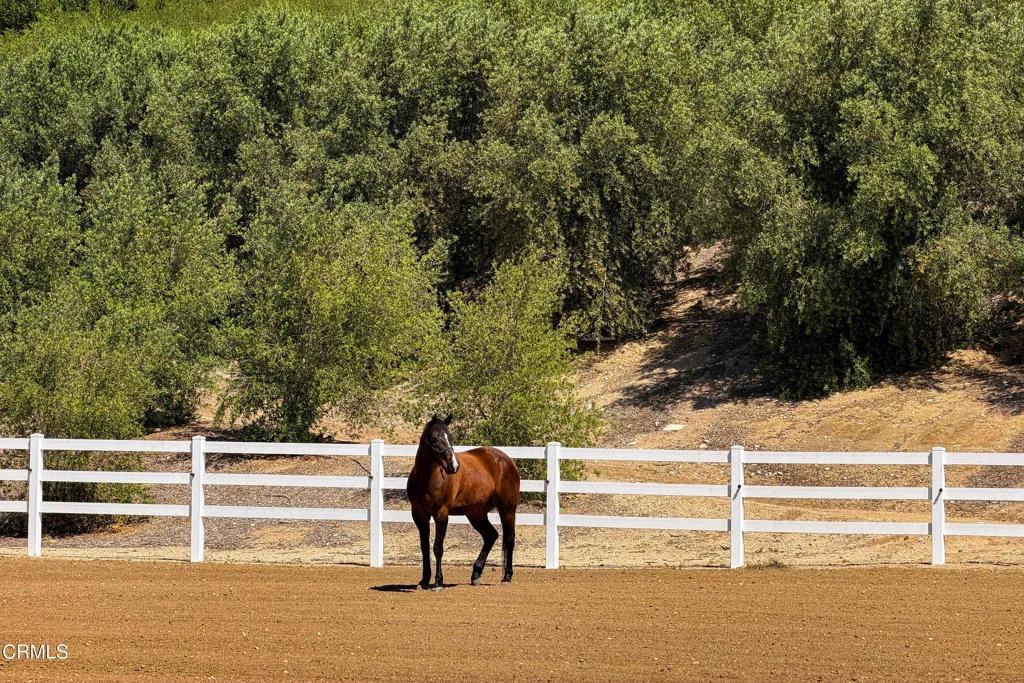 14855 Middle Ranch Rd Moorpark-101