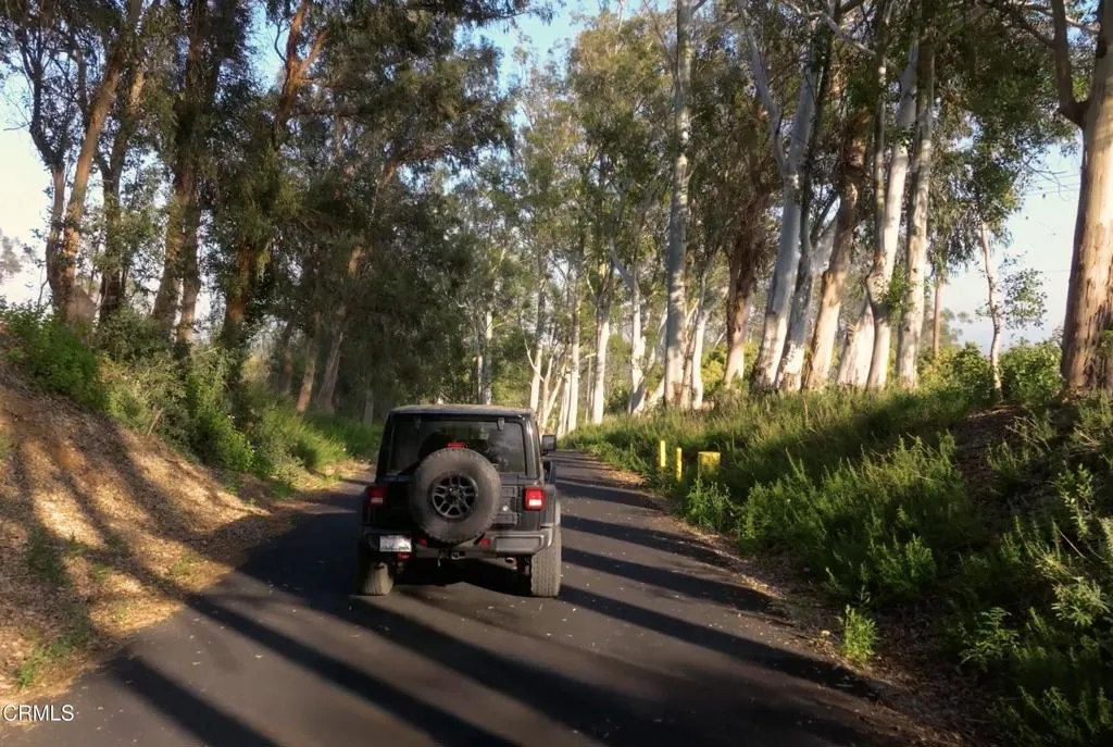 Paved Road I