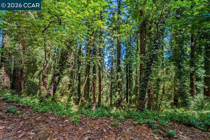 18103 La Verne Dr, Los Gatos, California 95033