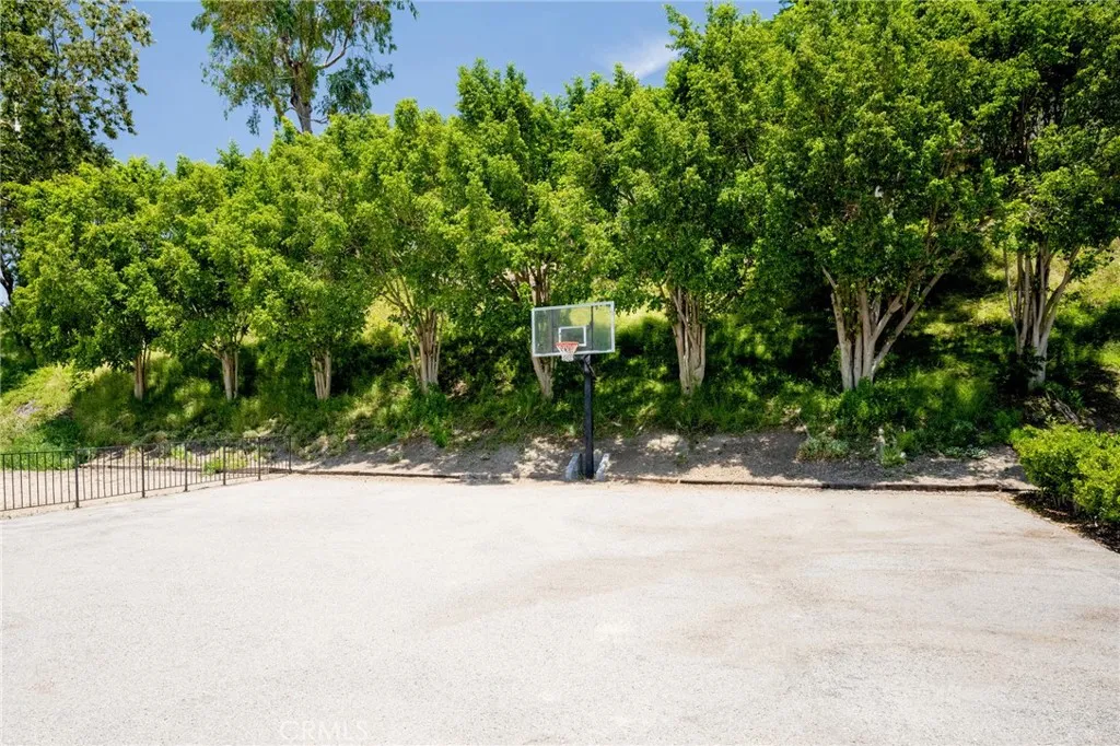 Basketball Court